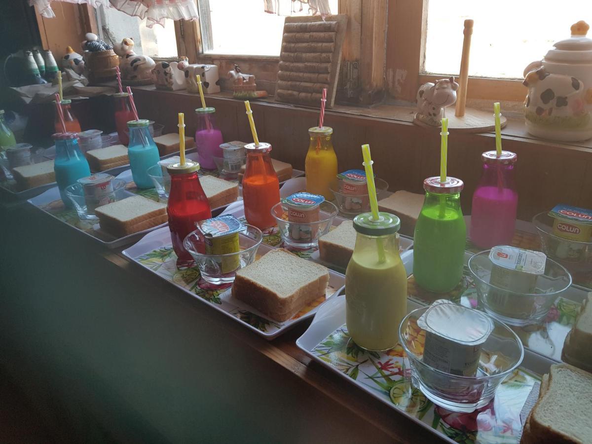 Hostal La Morenita Punta Arenas Zewnętrze zdjęcie