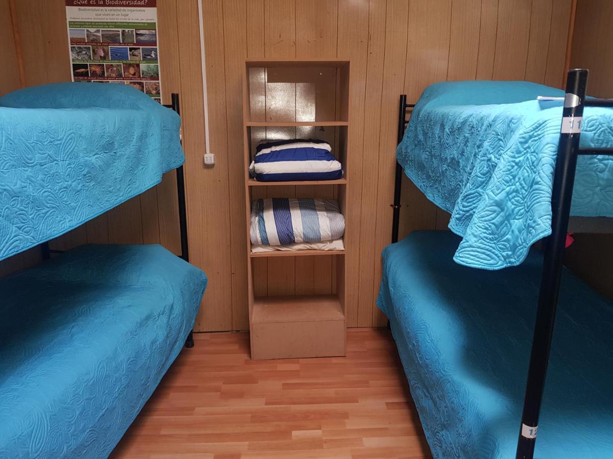 Hostal La Morenita Punta Arenas Zewnętrze zdjęcie