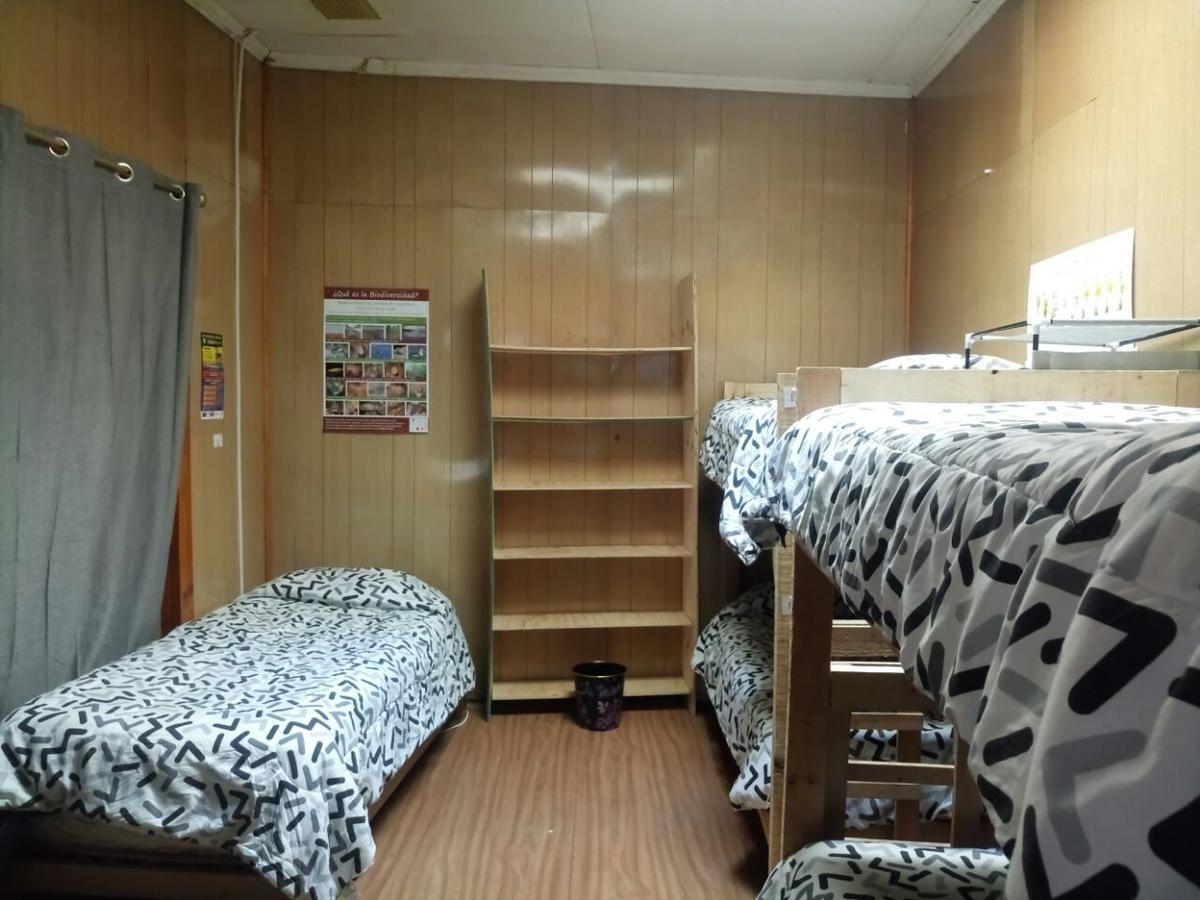 Hostal La Morenita Punta Arenas Zewnętrze zdjęcie